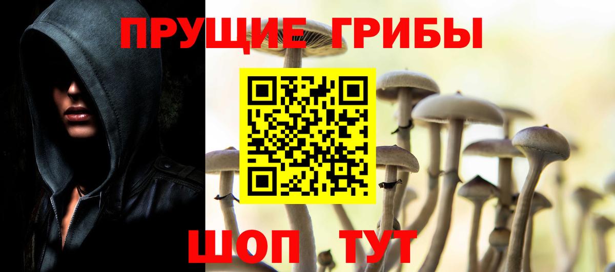 Псилоцибиновые грибы мухоморы  купить наркотик  Бугульма  Псилоцибиновые грибы GOLDEN TEACHER  Вход с VPN 
